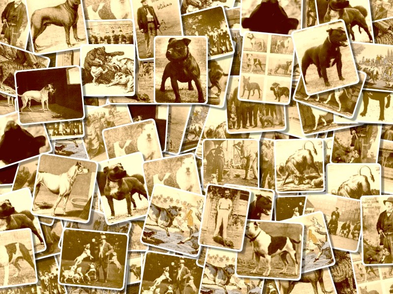 PSBTC History Collage